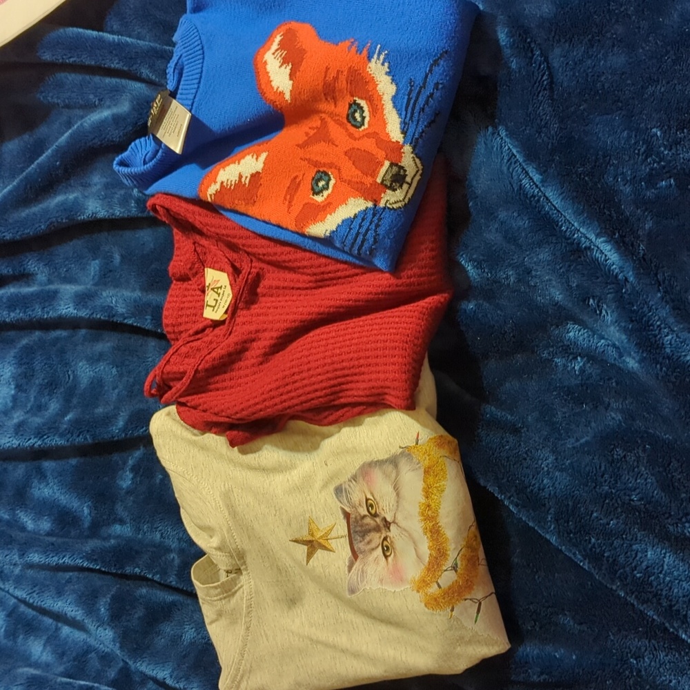 Girls Top Bundle size 10/12 Carter's Fox Sweater People's Project LA Thermal 613